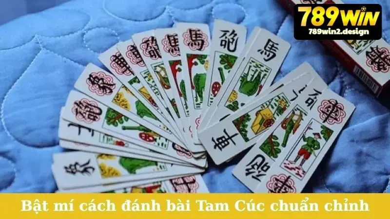 Bật mí cách đánh bài Tam Cúc chuẩn chỉnh